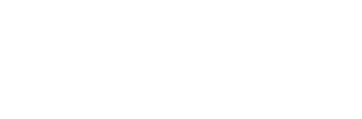 Inspekt%20Alfatest